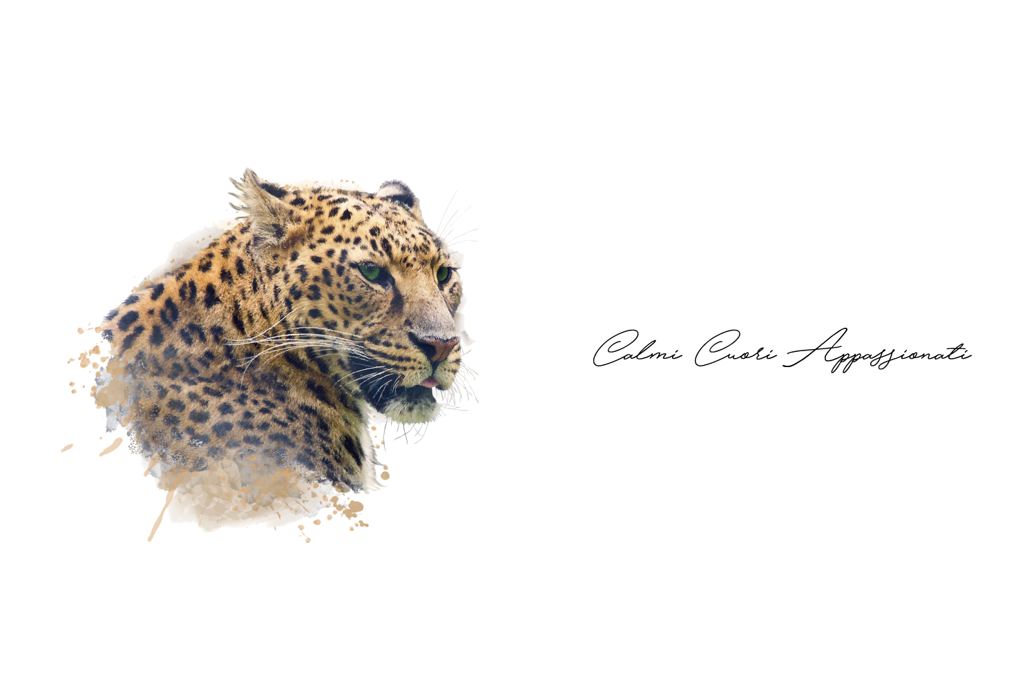 Calmi Cuori Appassionati